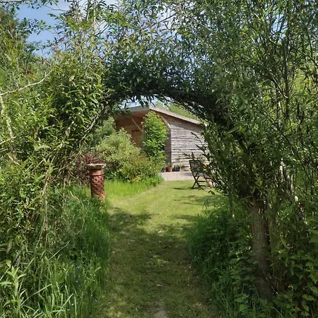 The Cabins Conwy Exterior photo